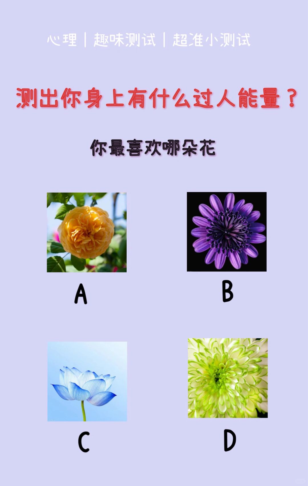 🔥测试｜测出你身上流淌着什么过人能量？