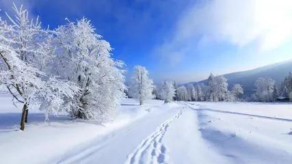 #下联：秋虫低吟始起，诚邀上联#冬雪裹装暮至。