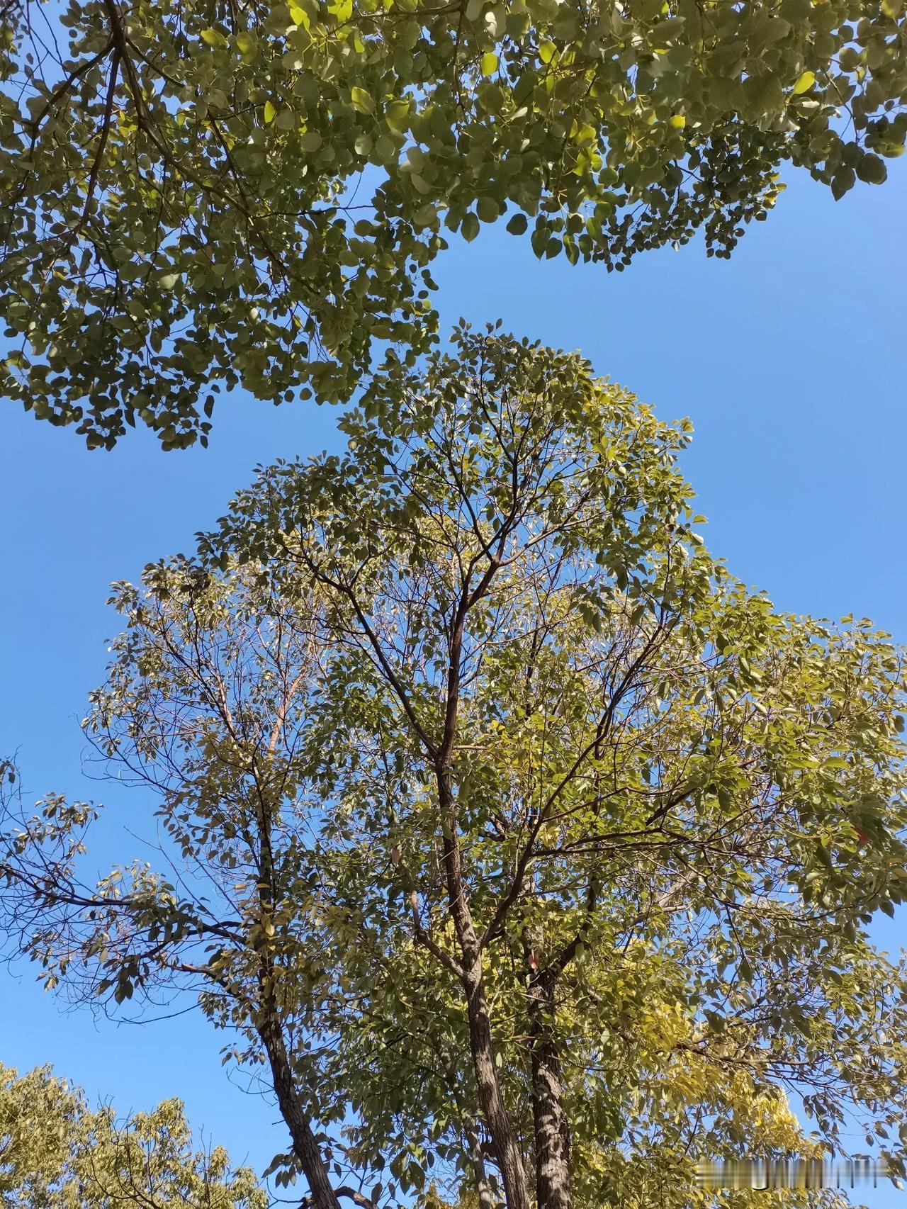 没想到自己碰到了家暴现场，第一次这种事情距离我这么近，两人恶语相向，说着最难听的