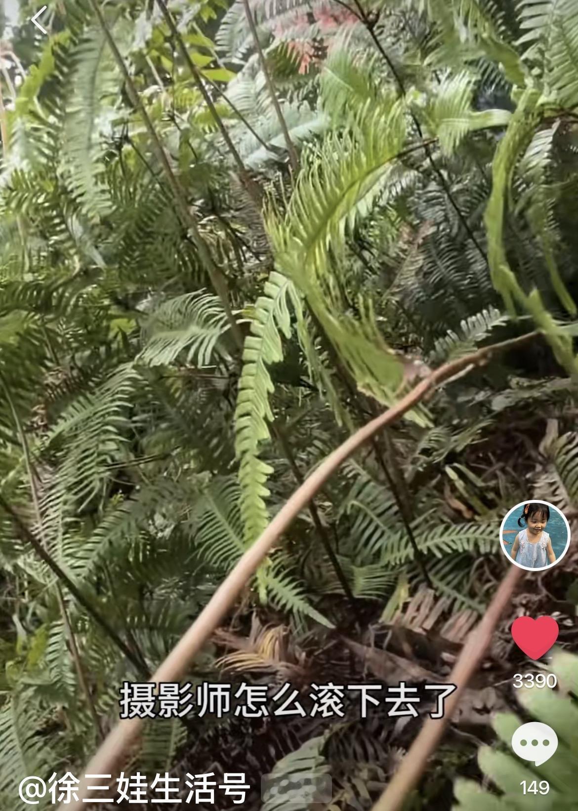 哦豁！徐三娃家的摔下坡出了续集！这下又不能从从容容游刃有余了！

徐三娃带老婆一