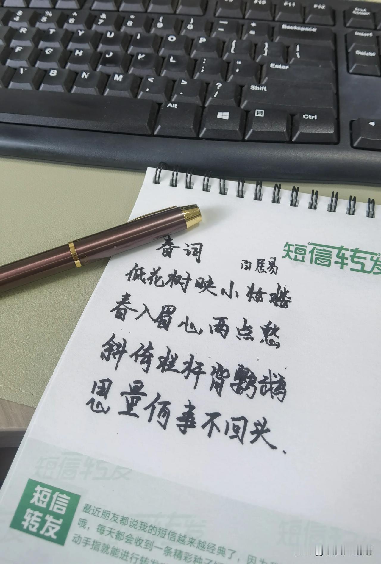生活是自己的 尽情的可爱🐢
