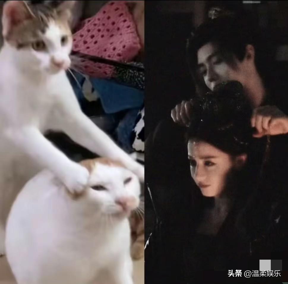 热巴要求陈飞宇和自己一块摆造型，陈飞宇十分抗拒，最后妥协！不得不说这是谁作的图啊