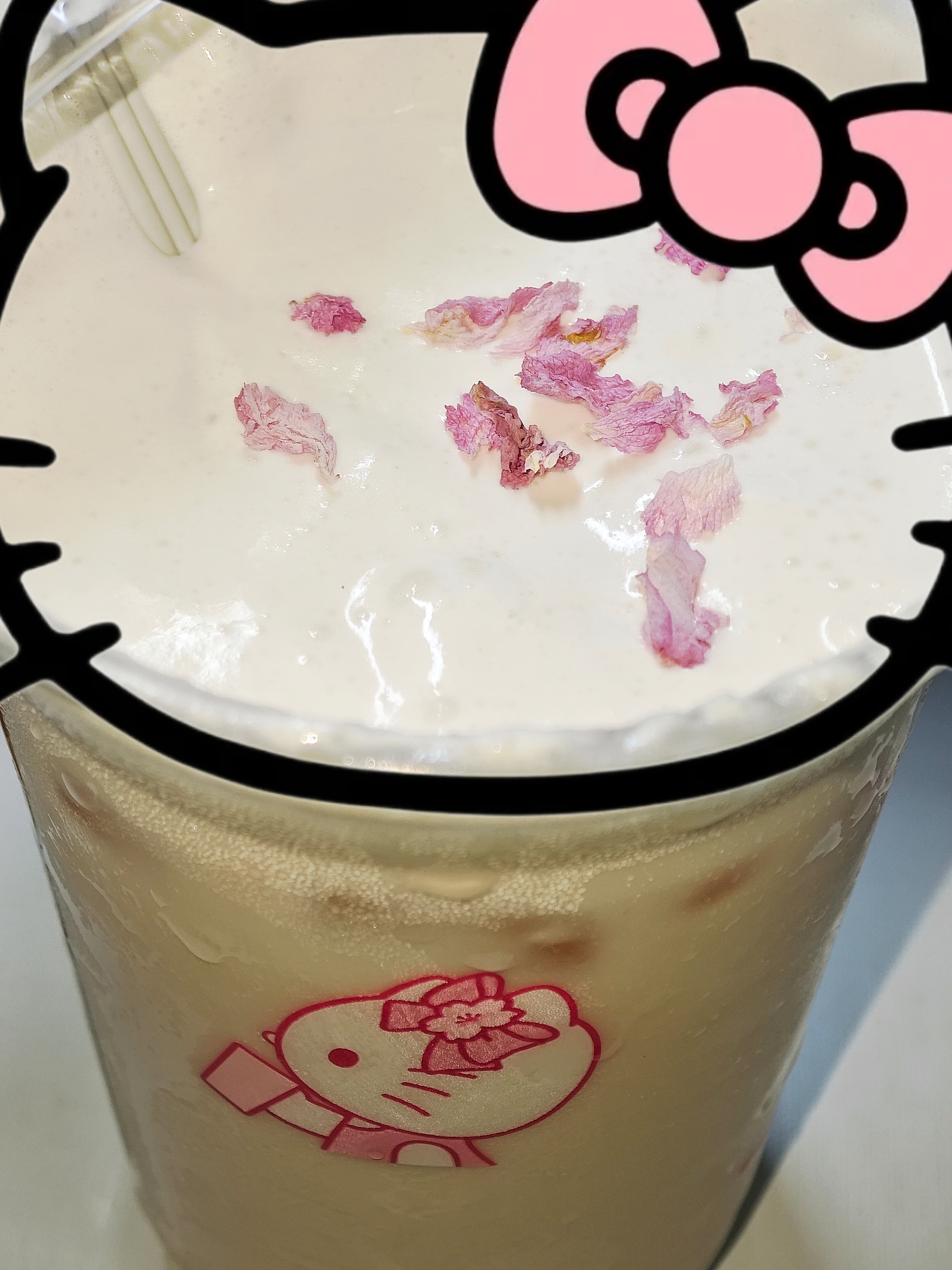 这个小猫咪怎么这么可爱呀 真的很可爱 我不知道我爱上它了 我喜欢小猫 谁问了没人