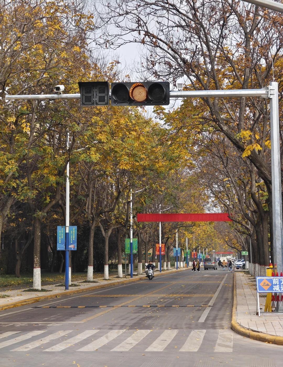 西北农林交通大学上线
谁家好大学安红绿灯啊😇高校 西北农林科技大学 没招了