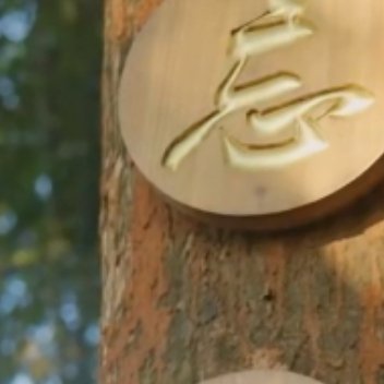 每日一善[超话]  🍀 阳光信用 🍀 每日一善 🍀 无论是因为什么事、面对