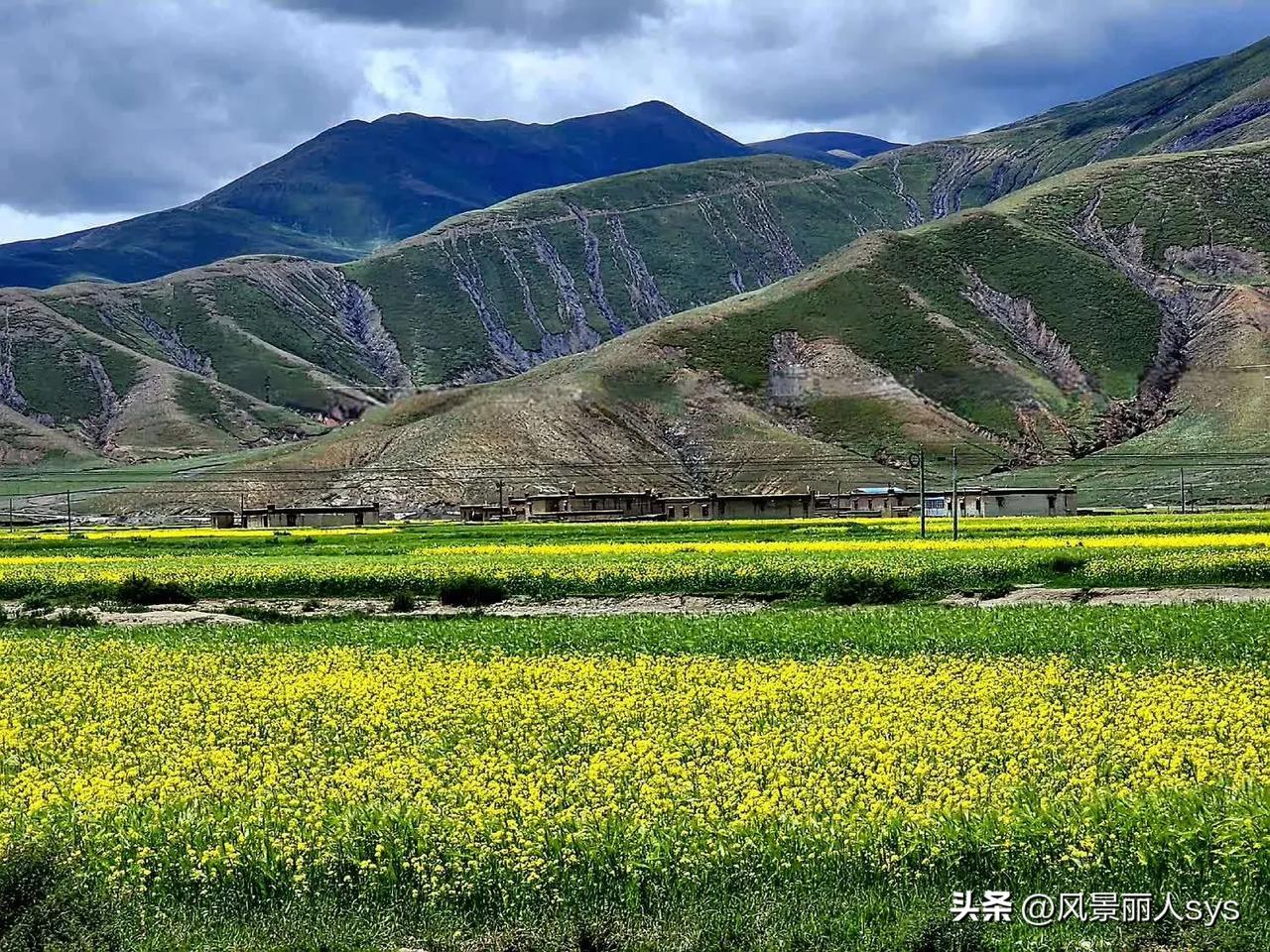 青山绿水， 油菜花开