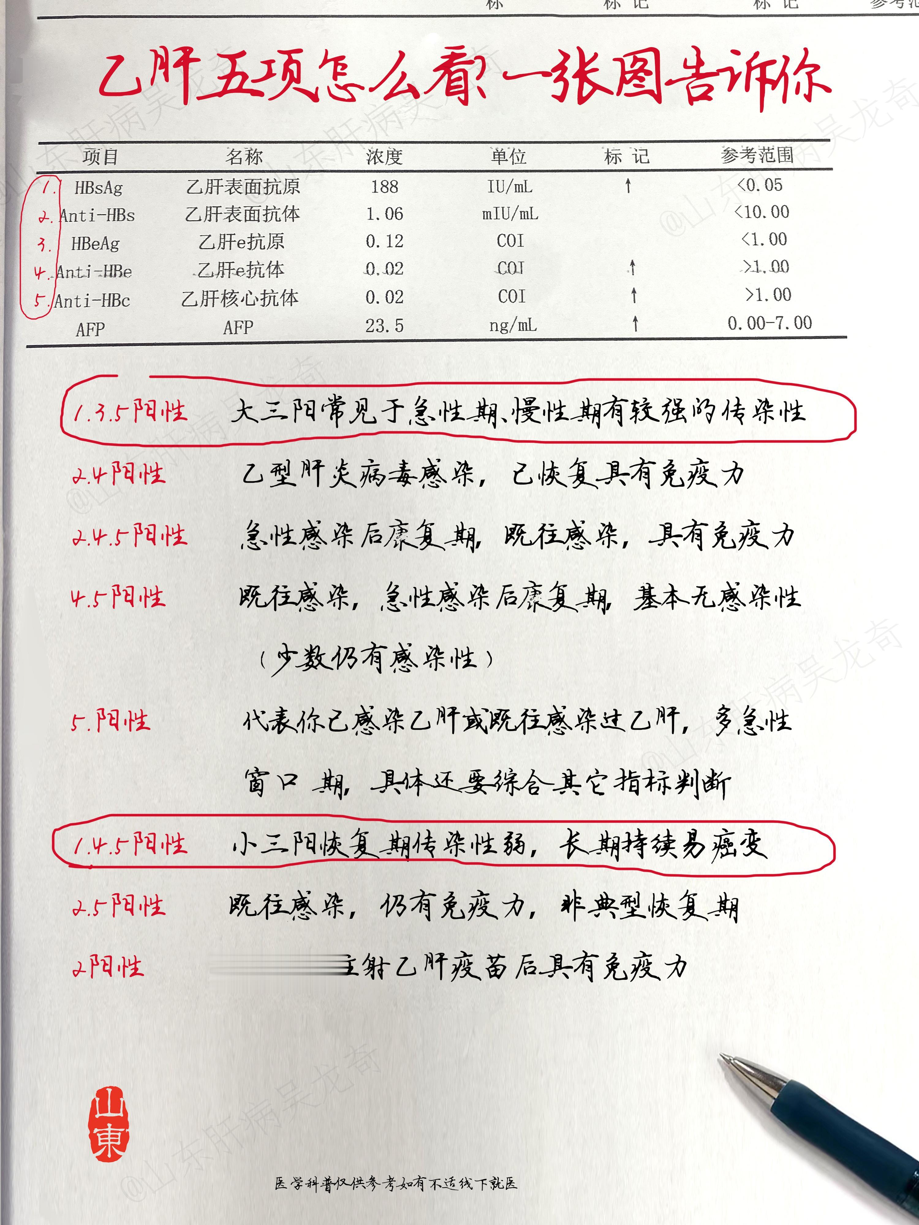 乙肝五项是指乙肝五项检查，用于诊断乙型肝炎感染、判断病情活动性、评估治疗效果、判断肝脏损害以及预防传染等。其中乙肝表面抗原（第一项）阳性表示感染了乙肝病毒。根据《2022年慢乙肝防治指南》进行指导如有不是线下就医。