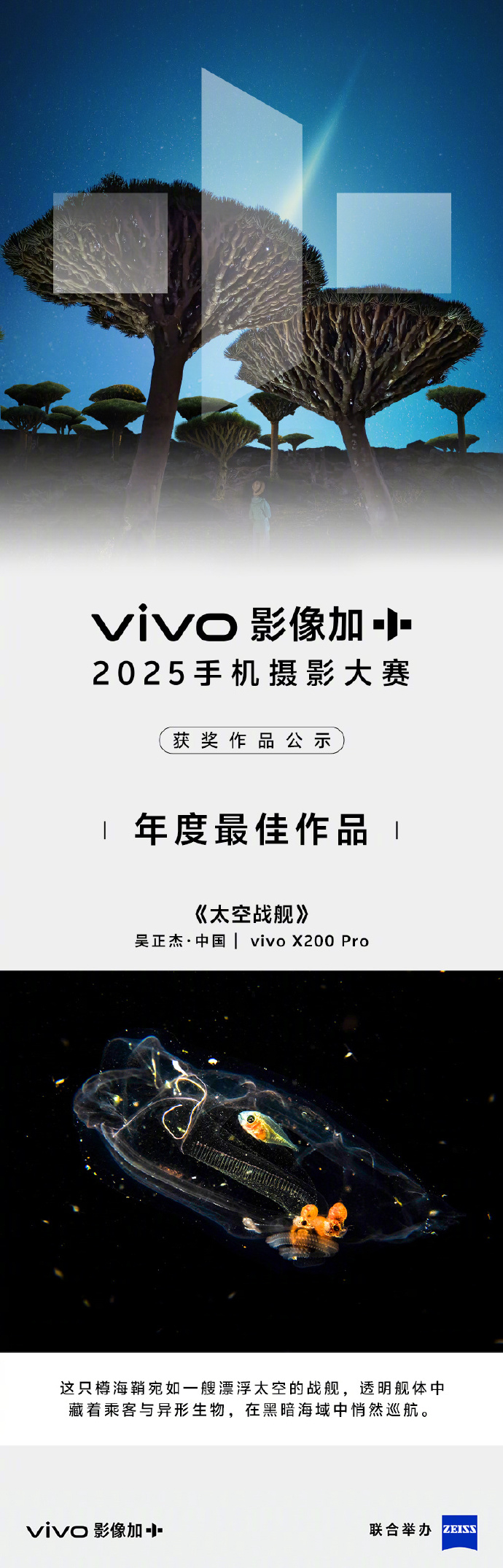 2025vivo影像加手机摄影大赛的年度最佳作品拍得真好啊，我什么时候能拍出这么