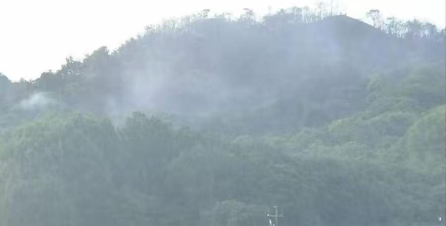 日本广岛山火蔓延当地时间17日下午，日本广岛县福山市突发山林大火，起初只是枯草起