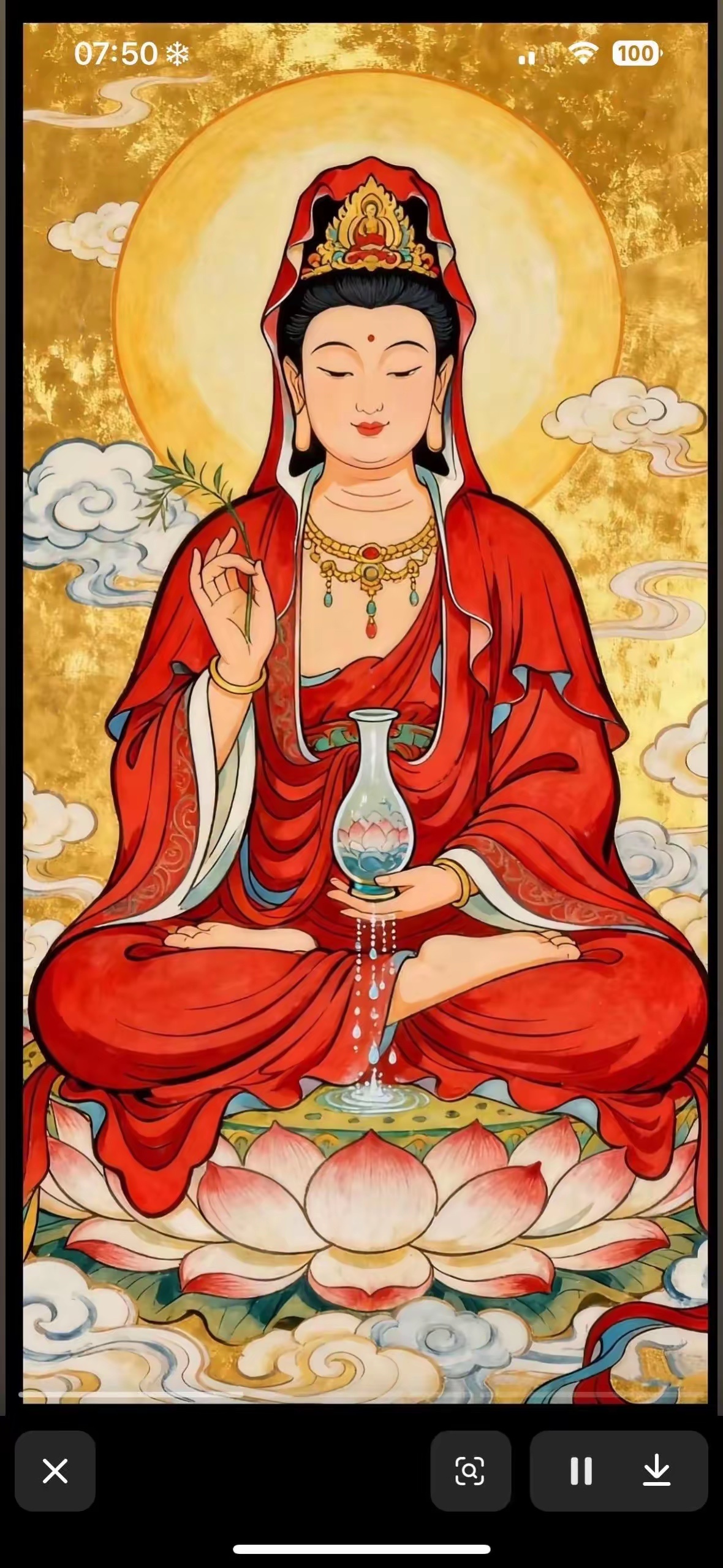 八月你好🌿平安喜乐，诸事顺心愿往后日子被温柔眷顾寻常烟火安稳，心中所愿可期收集