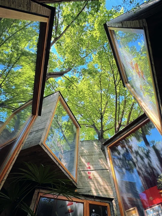 为了这17张图‼️我专门飞了一趟北京…live