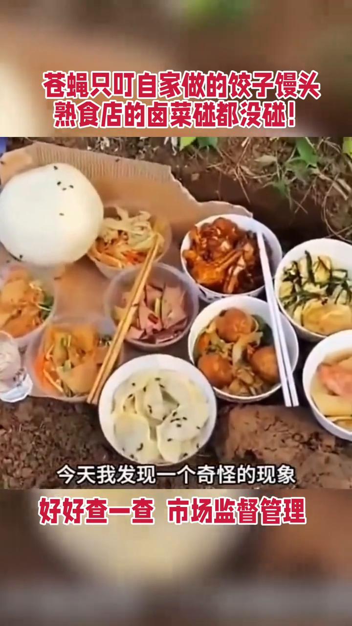 朋友们，今天我发现一个奇怪的现象，就是你们发现没，所有的苍蝇都在我妈蒸的馒头跟饺
