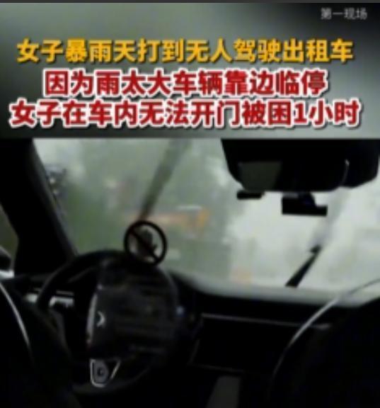 湖北一女子暴雨天打到无人驾驶出租车，因为雨势太大，无人驾驶出租车在路边停靠，结果