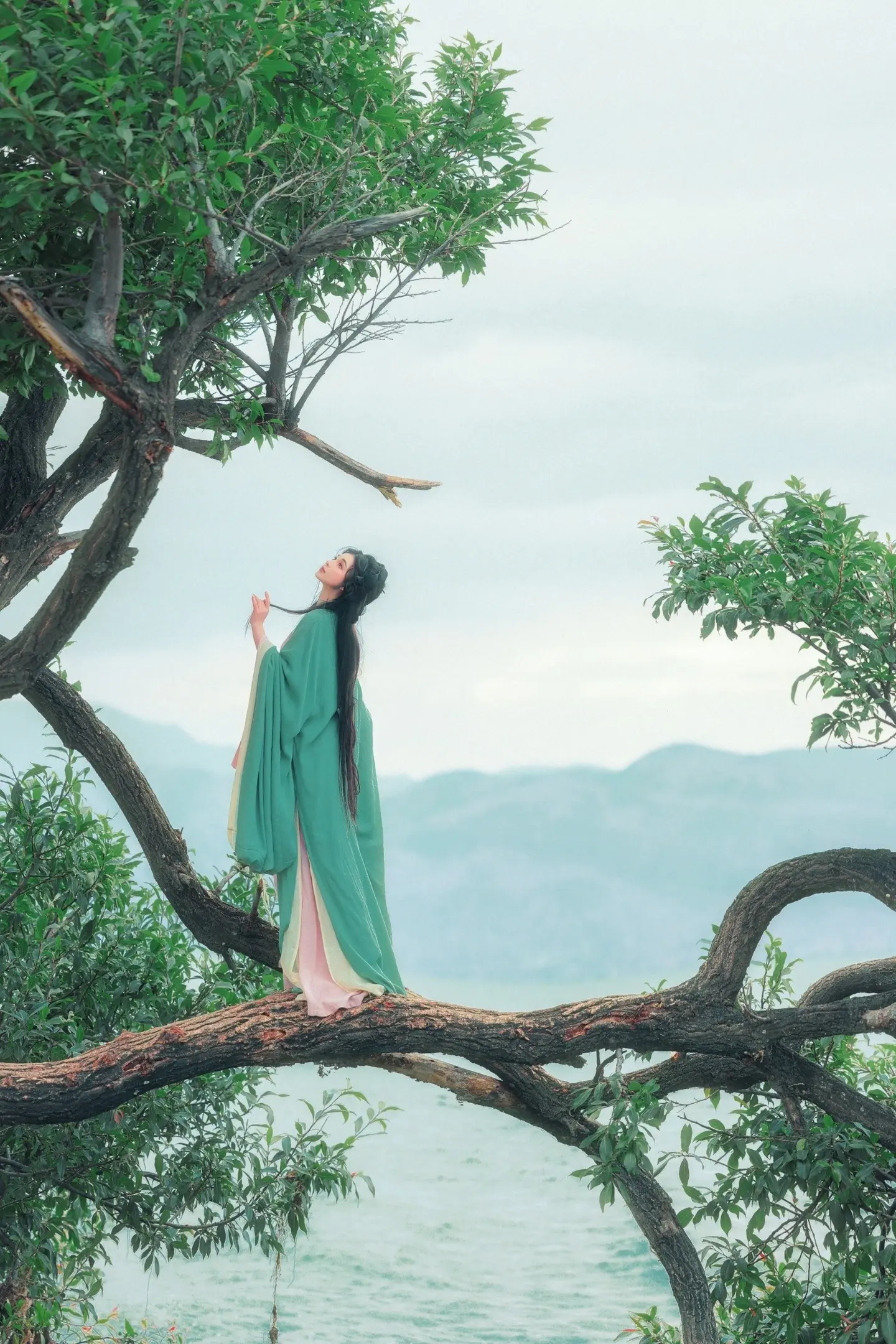 等燕子归来。摄/后：我 出镜