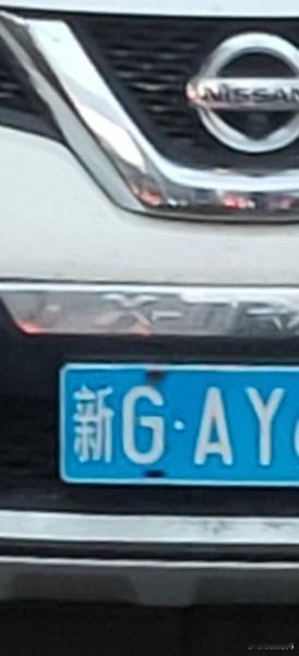 新gay
