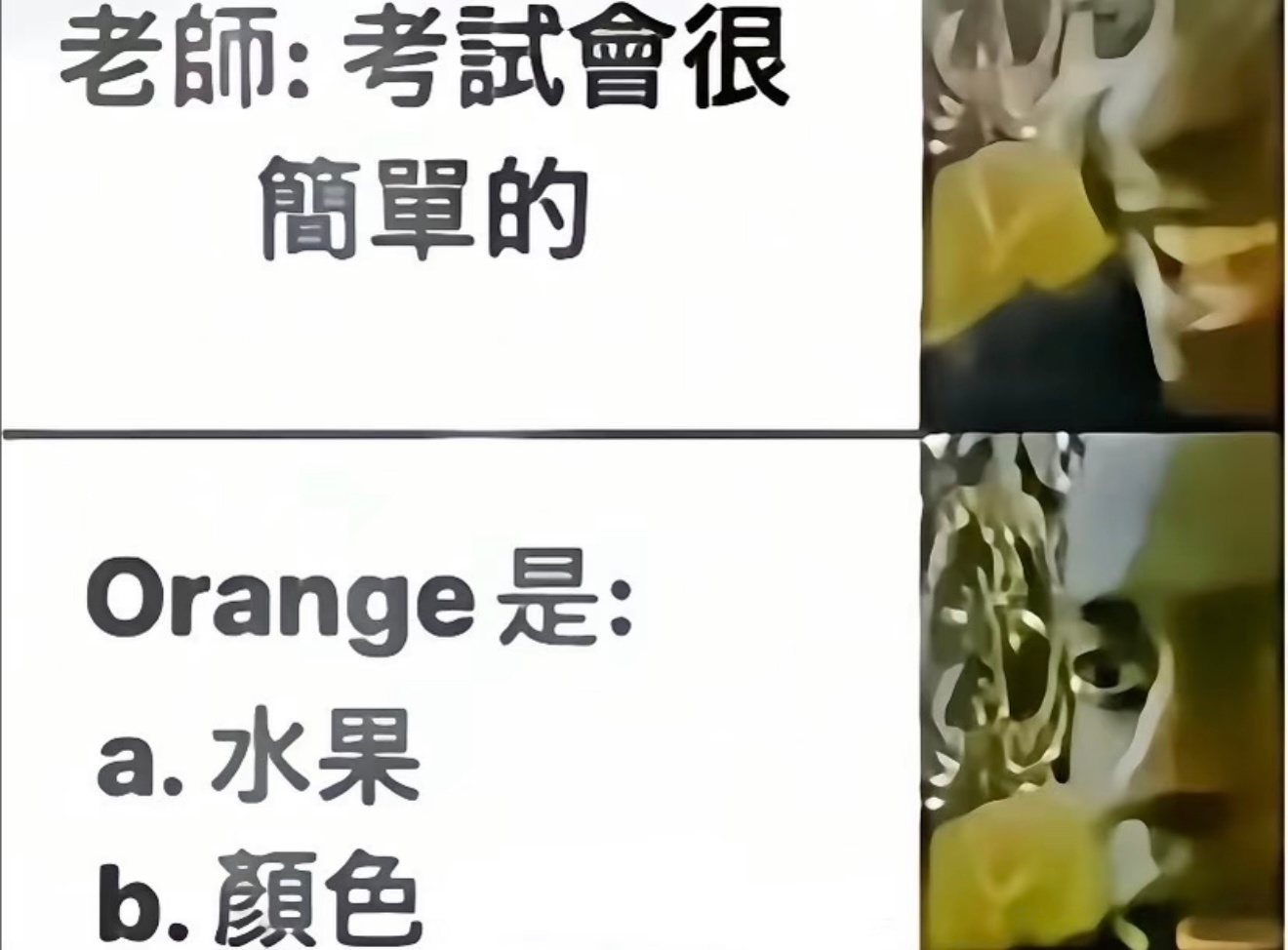 笑不活了 期末考试be like 