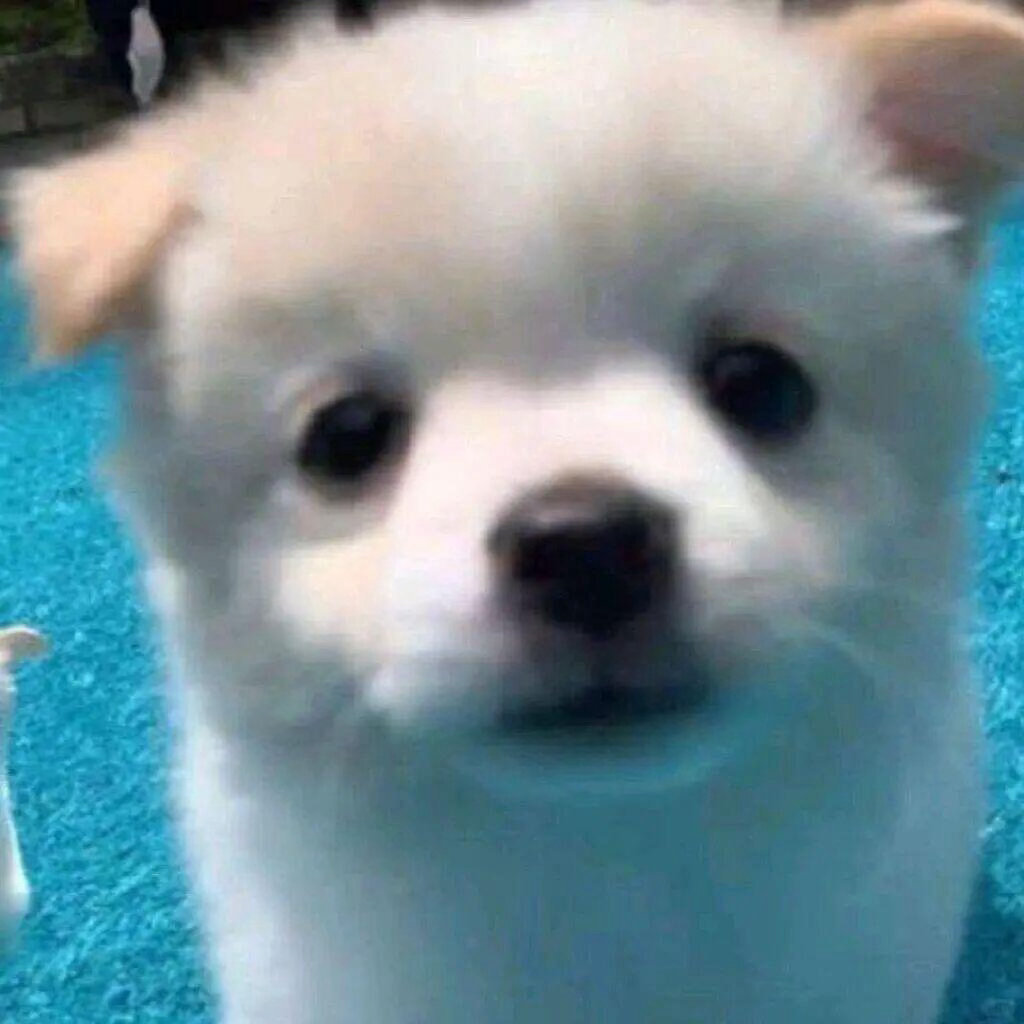 泥好 