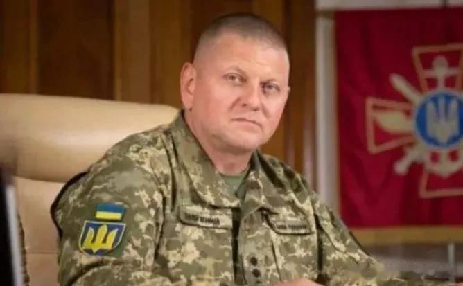 乌克兰总司令被炸成重伤，可能是泽连斯基故意泄露坐标？

来源:海峡快讯

自从俄