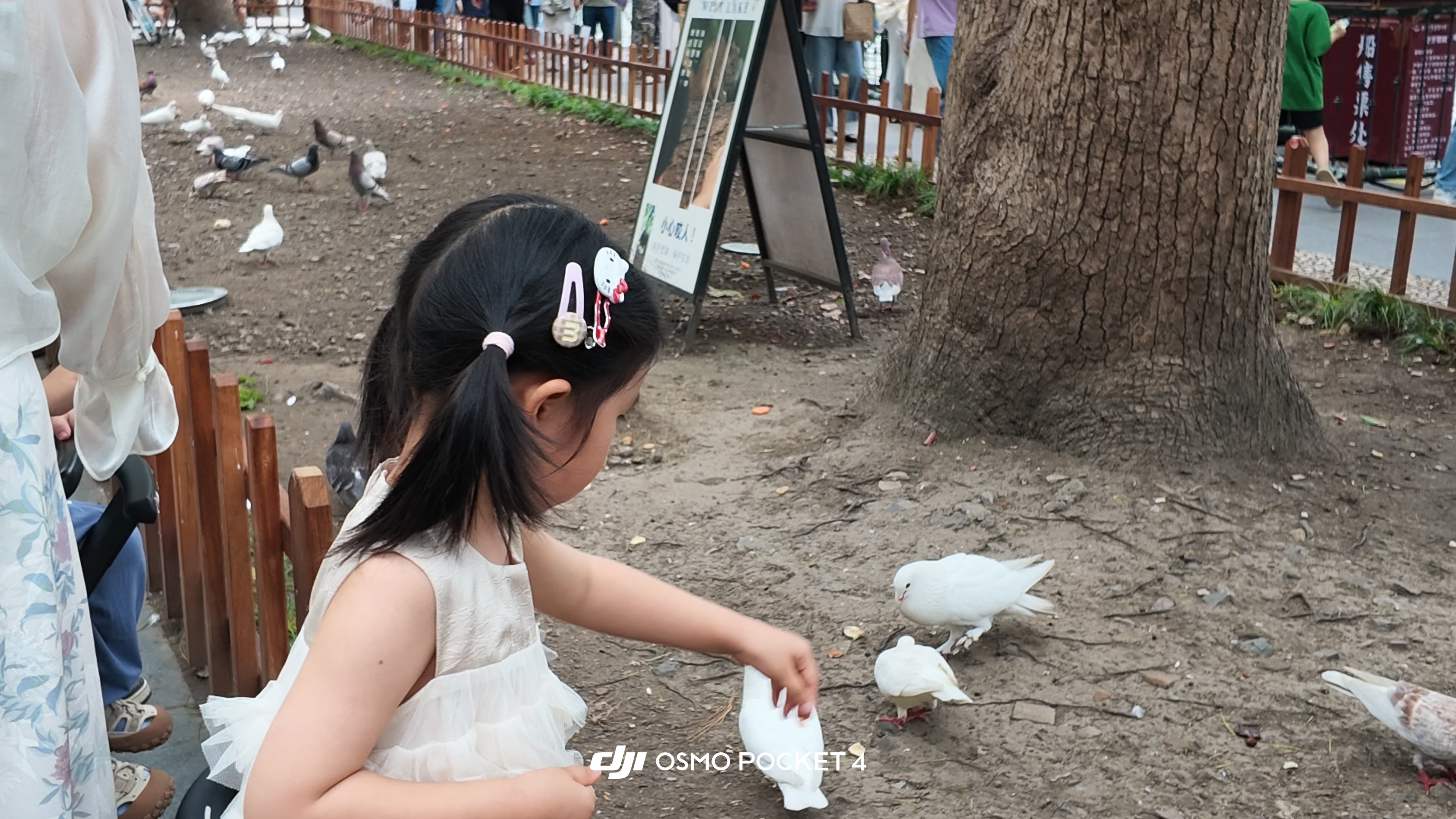 我已经开启养老生活模式了：每个季度旅游一两次，每周健身两三次，每天接两三个咨询单