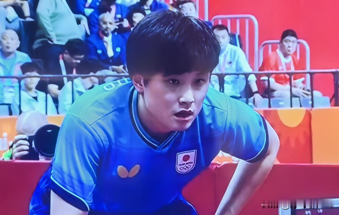 张本智和 3-1 胜了！
前三局温瑞博 1-2 落后，第四局，温瑞博开局打了一个
