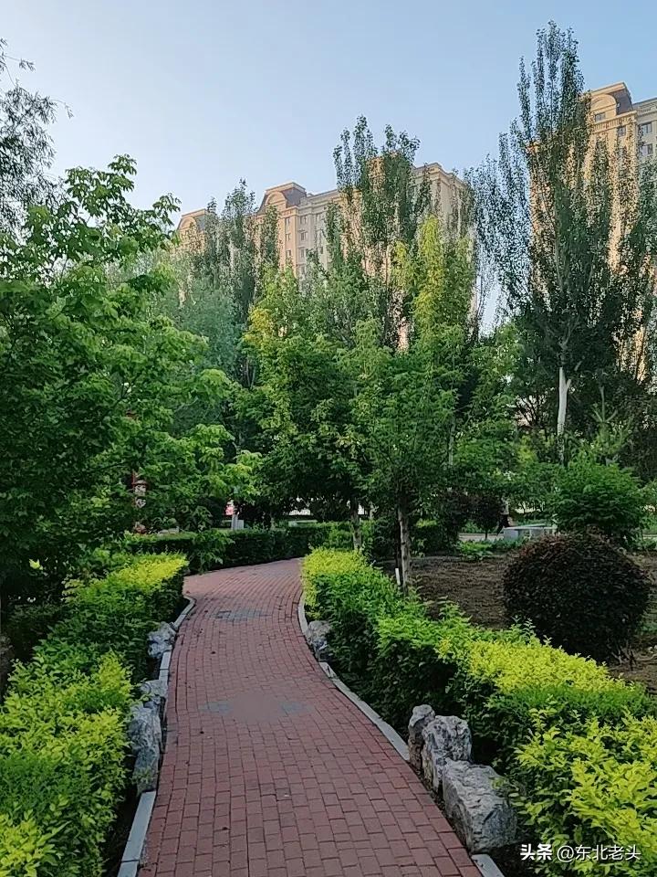 网上买的10斤山药刀削面到货了，
说是山药粉，
能有五分之一的山药粉，
那就是好