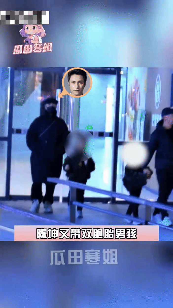 陈坤 双胞胎扑坤到底几个孩子？孩子到底几个妈？ 