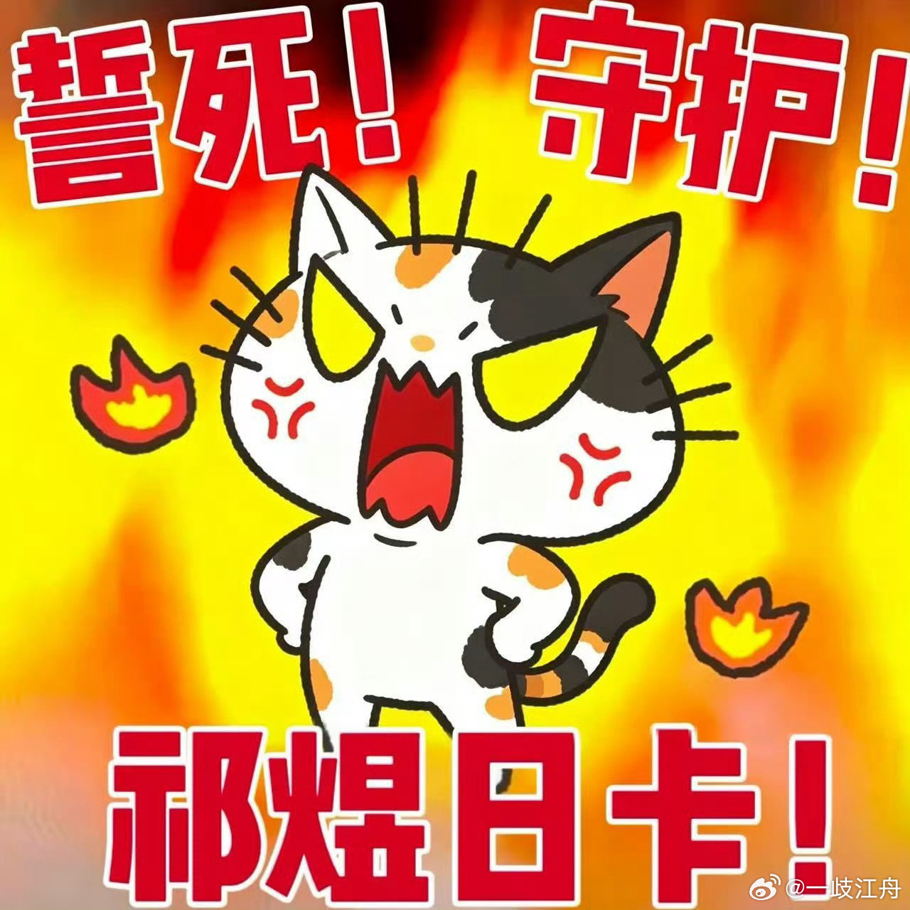 早上嚎！！！！ 