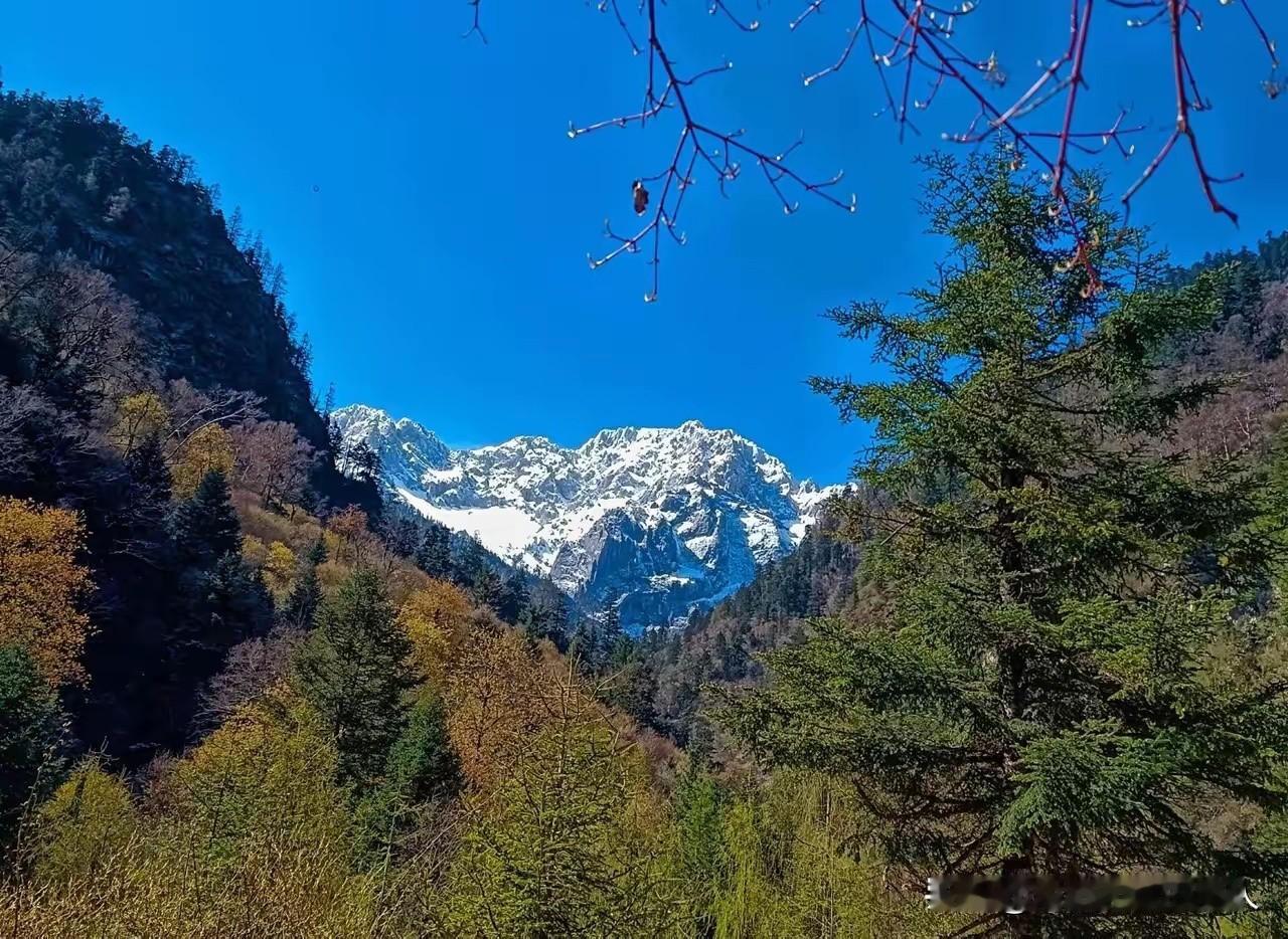 五月份的官鹅沟，有美丽的雪山，有一眼望不到边的原始森林，有十几个大大小小，气势磅