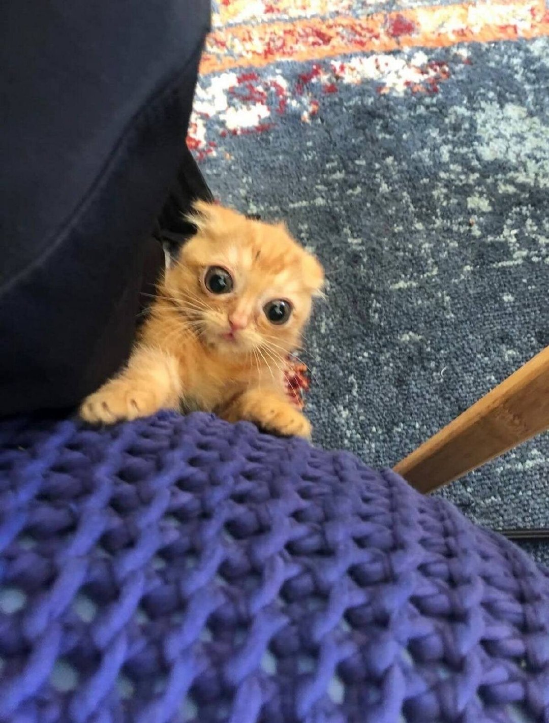 hi little buddy ​​​