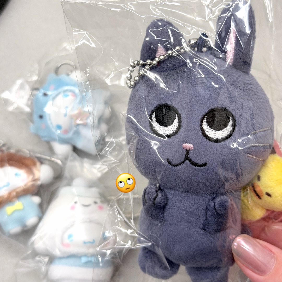 我滴大肥猫终于到家 