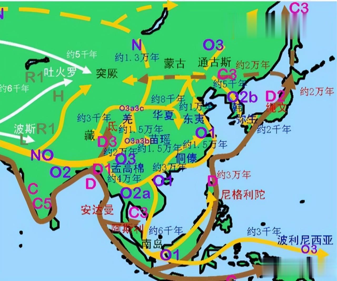 汉语和藏语既然是同一语系，那么是否意味着汉族和藏族是同一祖先呢？
大家都知道，汉