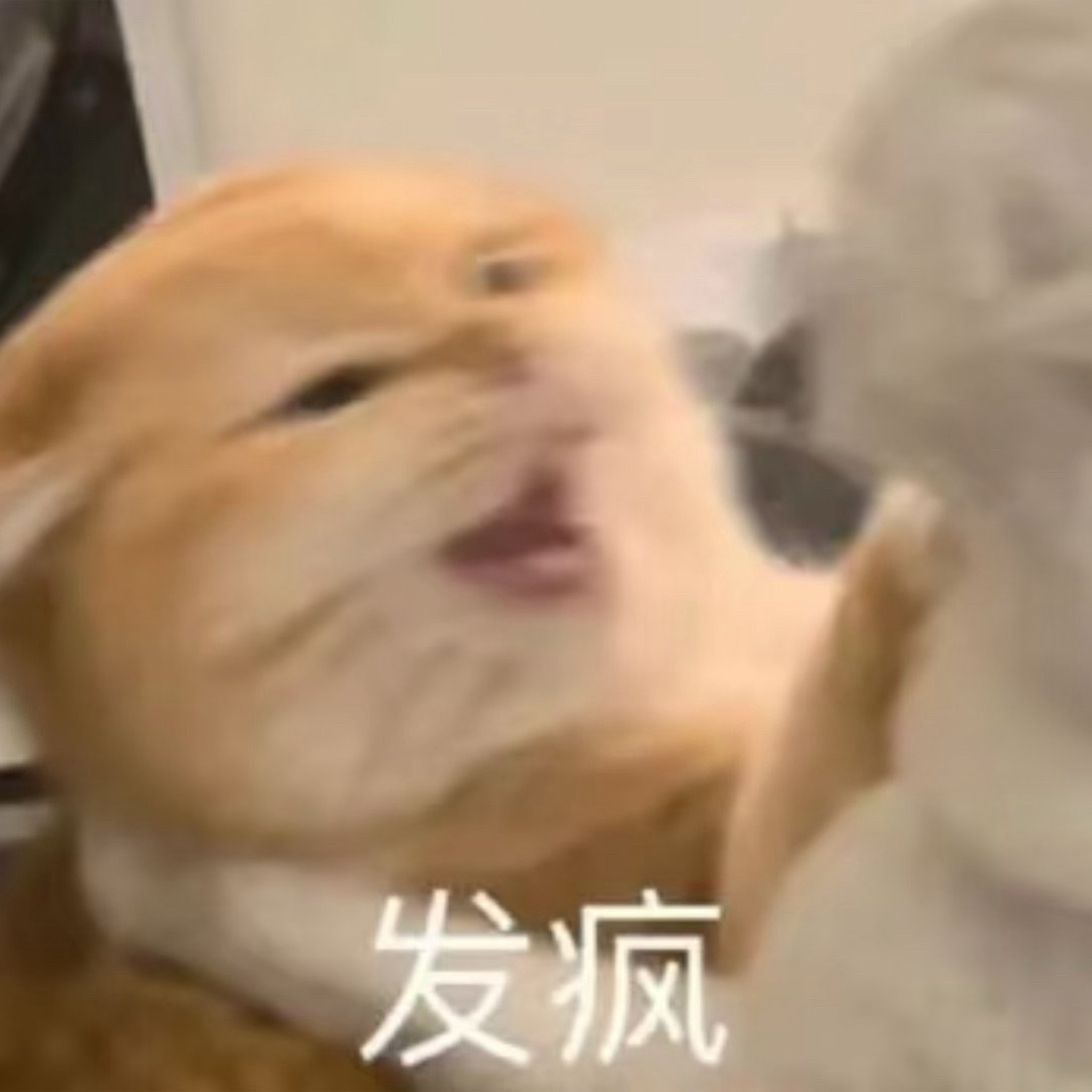 亚运会女团能不能TD怎么能大小输成这样 