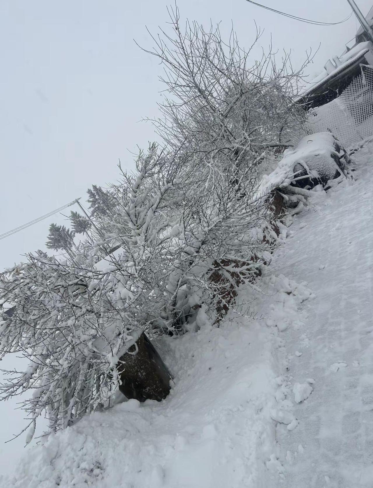 春天辞职了 冬天又加班了