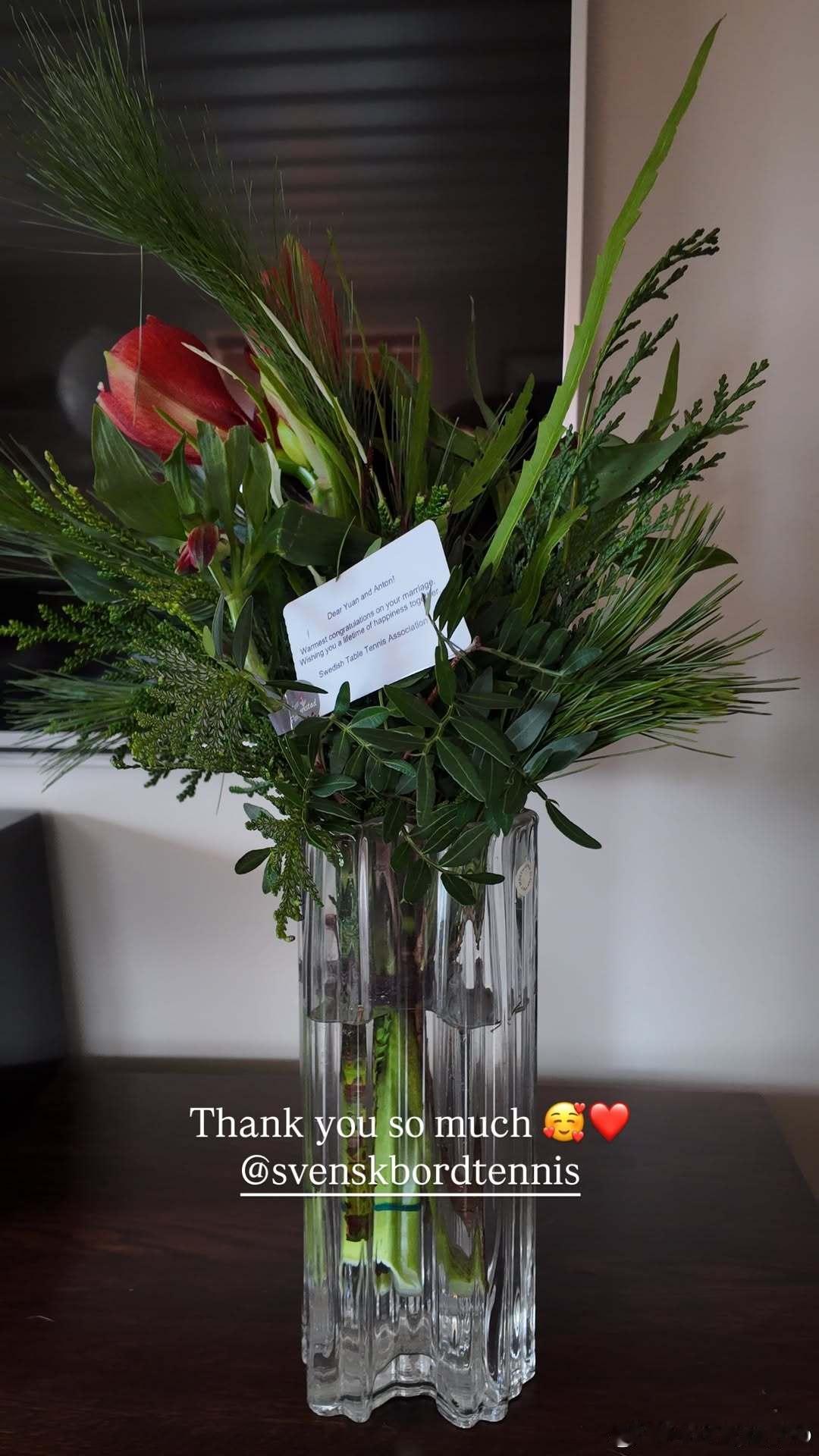 瑞典乒乓球协会送给万远、安东的新婚祝福 