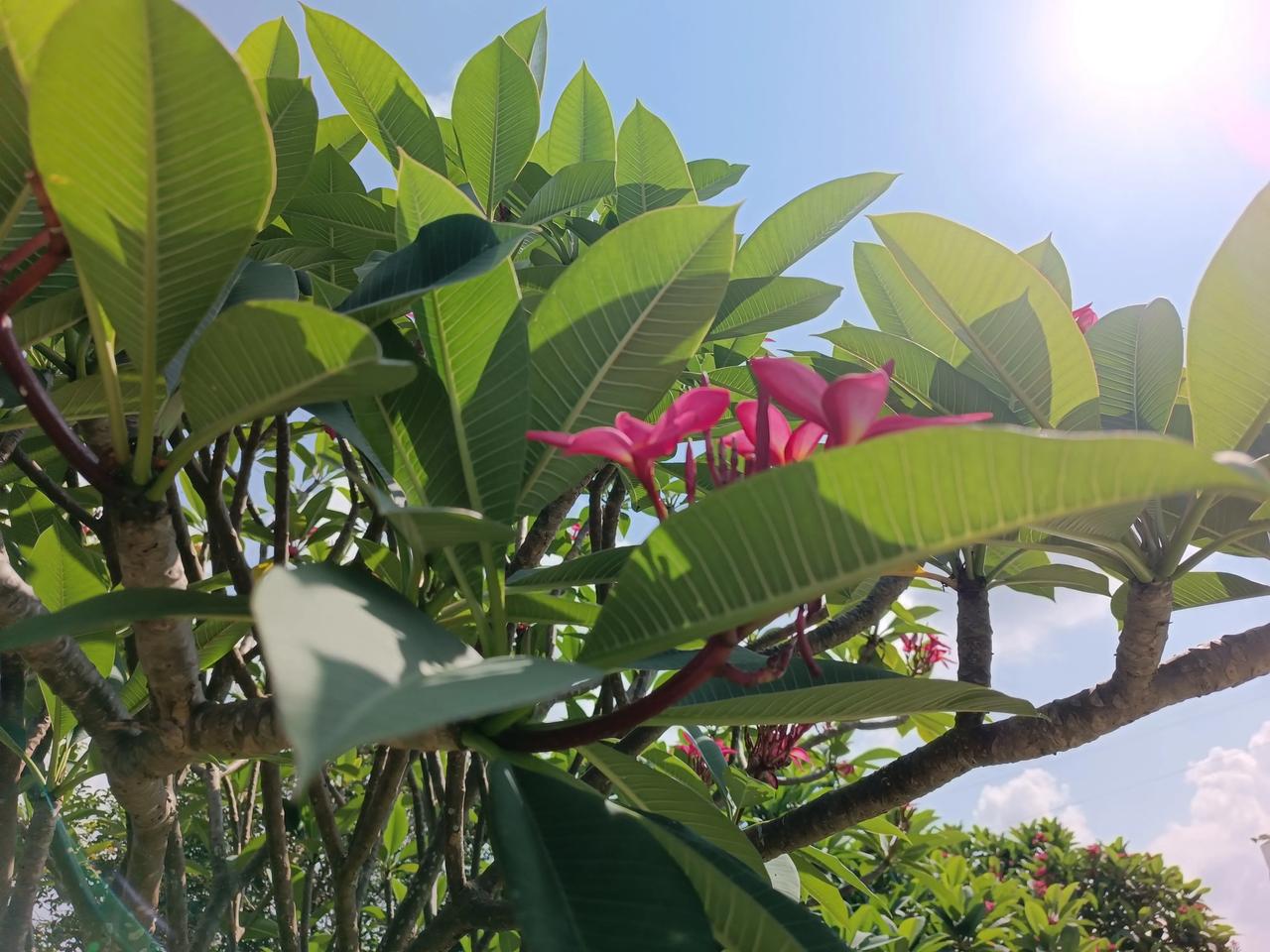 星期四下午
天气好晴朗
阳光明媚
有点热热的
哈哈！下午好
[招财进宝][招财进