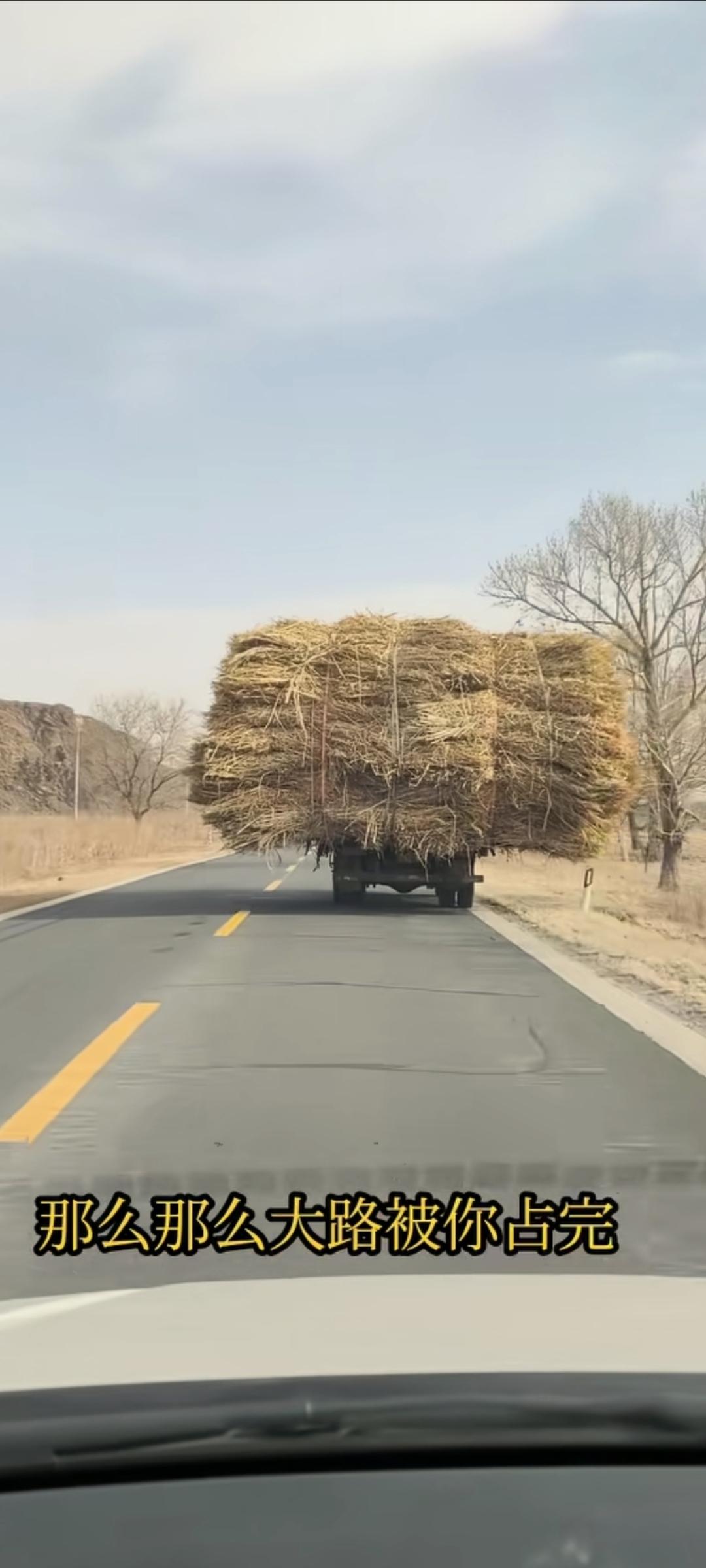 这车装的真有水平！装车人一定是学建筑的，现在至少是二级建造师！你们认同我的猜测吗