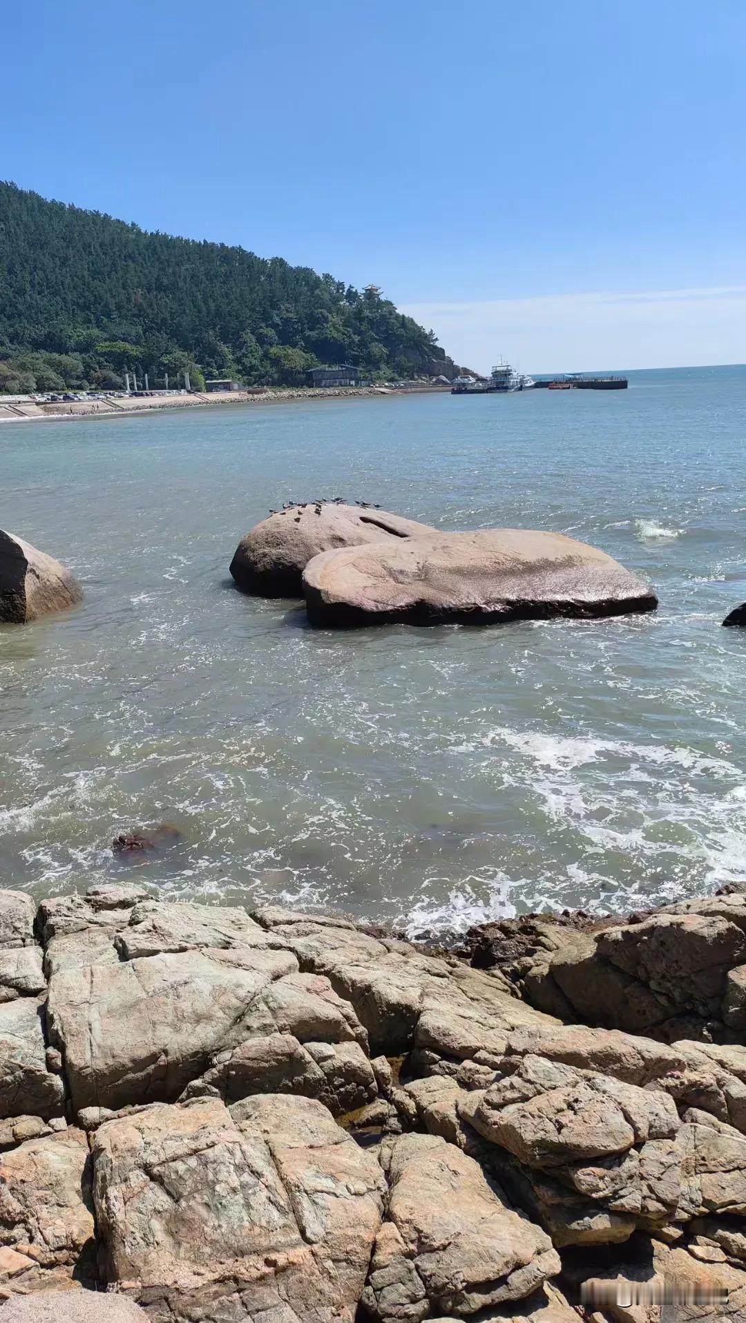 总要去一次海边吧！
总要去一次青岛吧！
终于来到了大海之滨，
终于呼吸到了带着咸