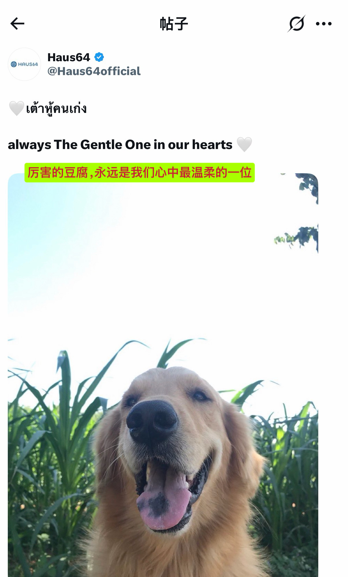 四件套更新「厉害的豆腐，永远是我们心目中那温柔的🤍」豆腐，好多人都会记得你。/
