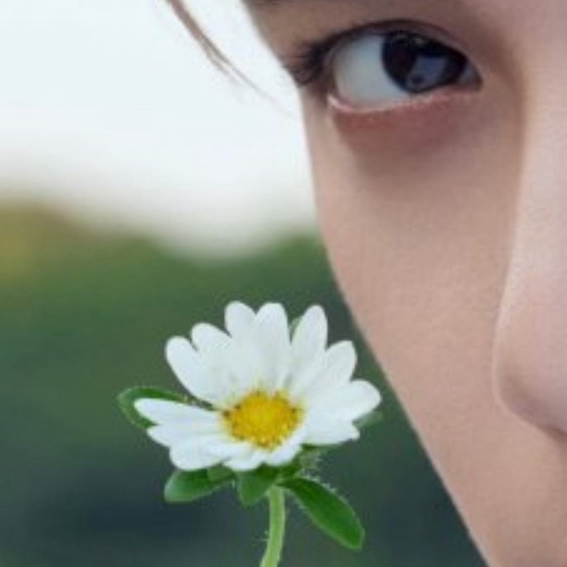 花根茎绒绒的，小蕾蕾的脸蛋绒绒的。。戳我萌点了。。好可爱的两只。。感觉很新鲜。。