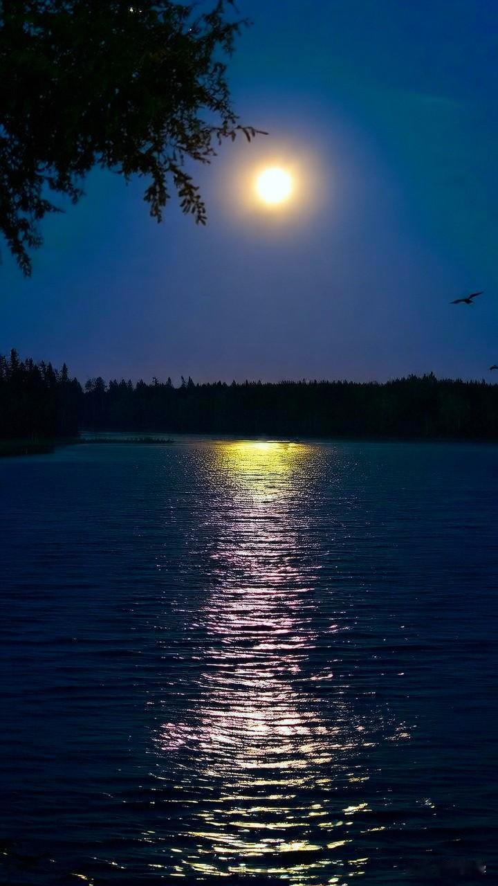 白露横江渚，清波连云天。
万籁尘嚣静，孤云夜色闲。
凭栏遥极目，寂山入画眠。