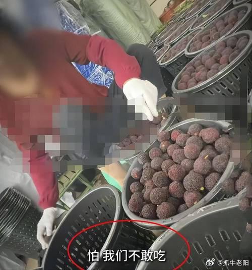 杨梅价格暴跌平素寡言少语，逢难方诉委屈。一朝情分散尽，声誉重修难逾朝夕。 