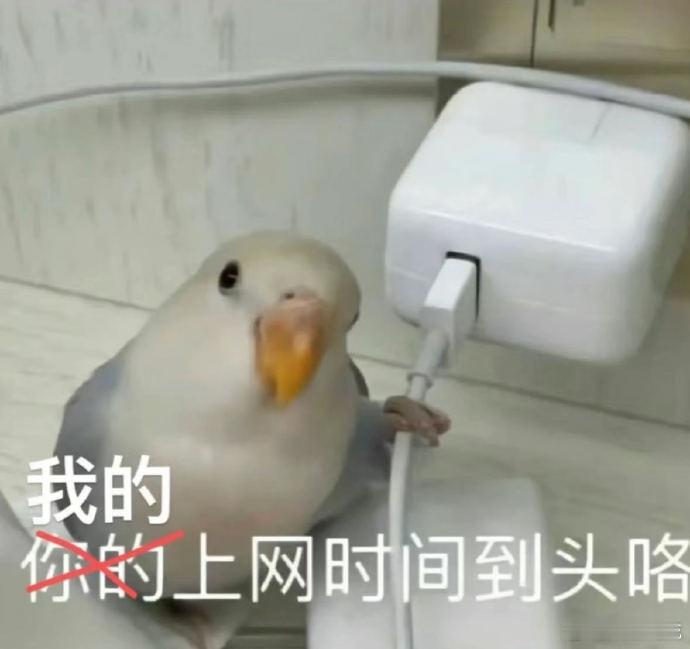 五一出游人为了充电能有多努力五一 被五一充电名场面整破防！地铁里数据线缠成“蜘蛛