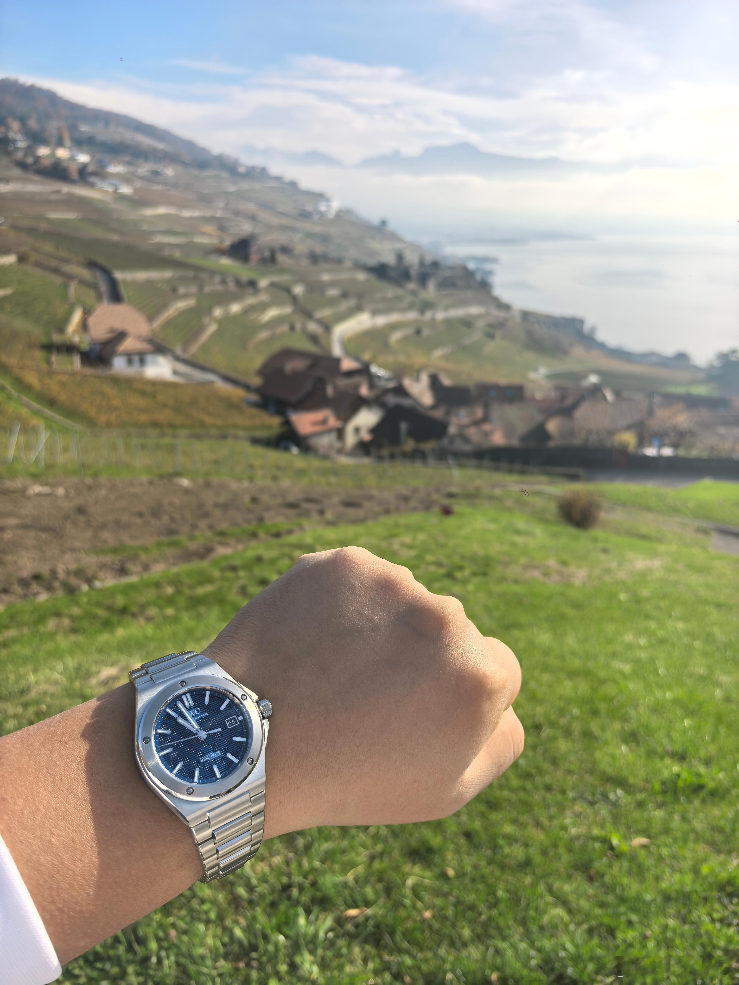 今年买了个表 想买一块颜值高又皮实耐用蓝盘钢表日常带，做功课的时候发现了万国工程