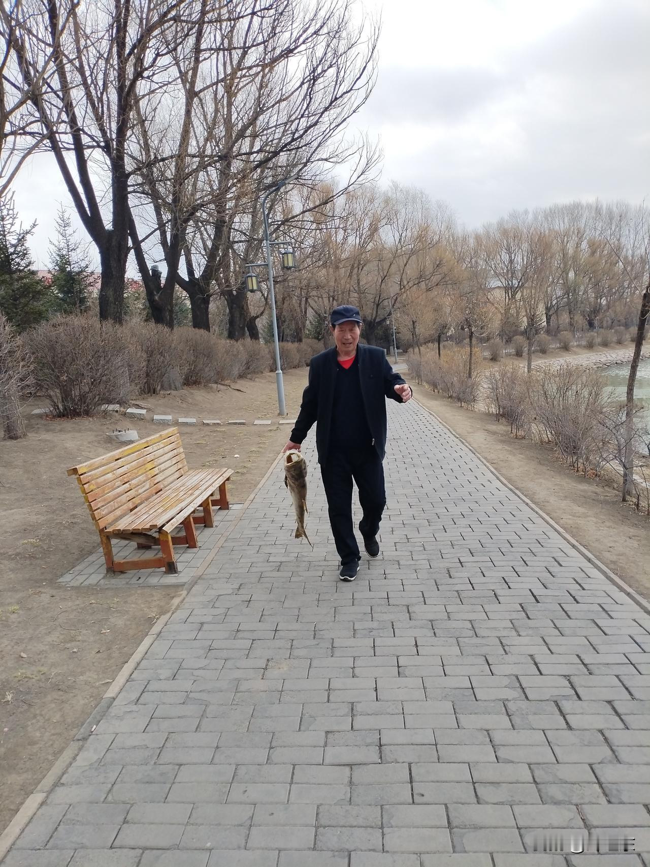 南湖趣
春风浩荡化冰急，
南湖岸边捡大鱼。
散步遛弯有收获，
请续句……
（沙鸥