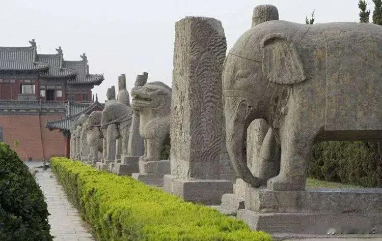 春夏秋冬，它们纹丝不动地站在那里里。秋雨绵绵，秋风四起，看看这些庞大的生物，你有