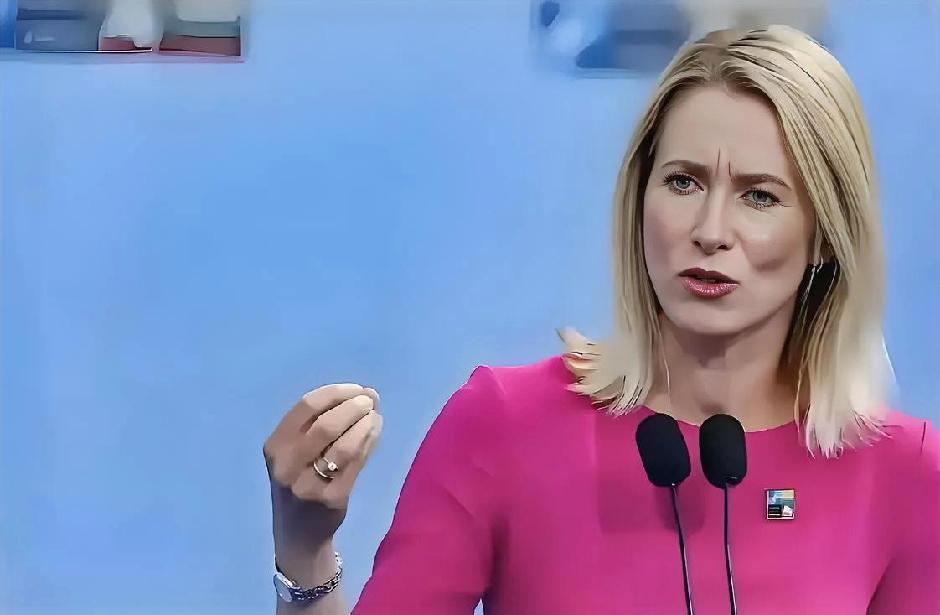 欧盟外交事务负责人卡拉斯近日的