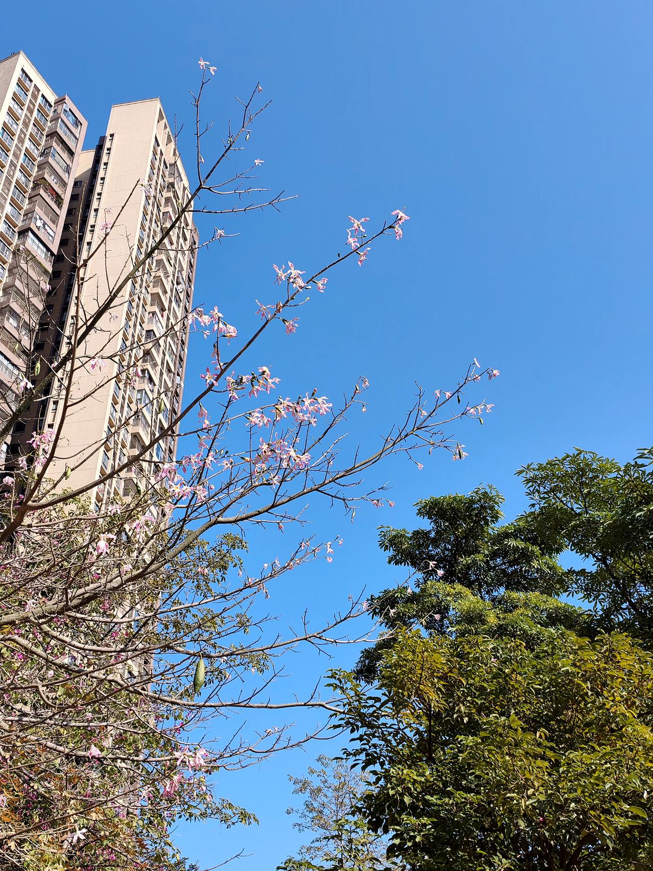 关于广州人年三十晚食唔食饺子的事，我就实话实说了，从1960年到1980年之前，