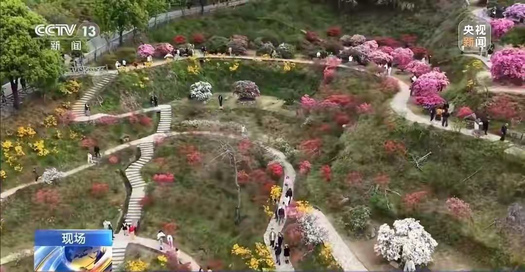 春光正好，春花烂漫。各地鲜花竞相绽放，不仅扮靓了乡村山野，也催生出特色产业，带动