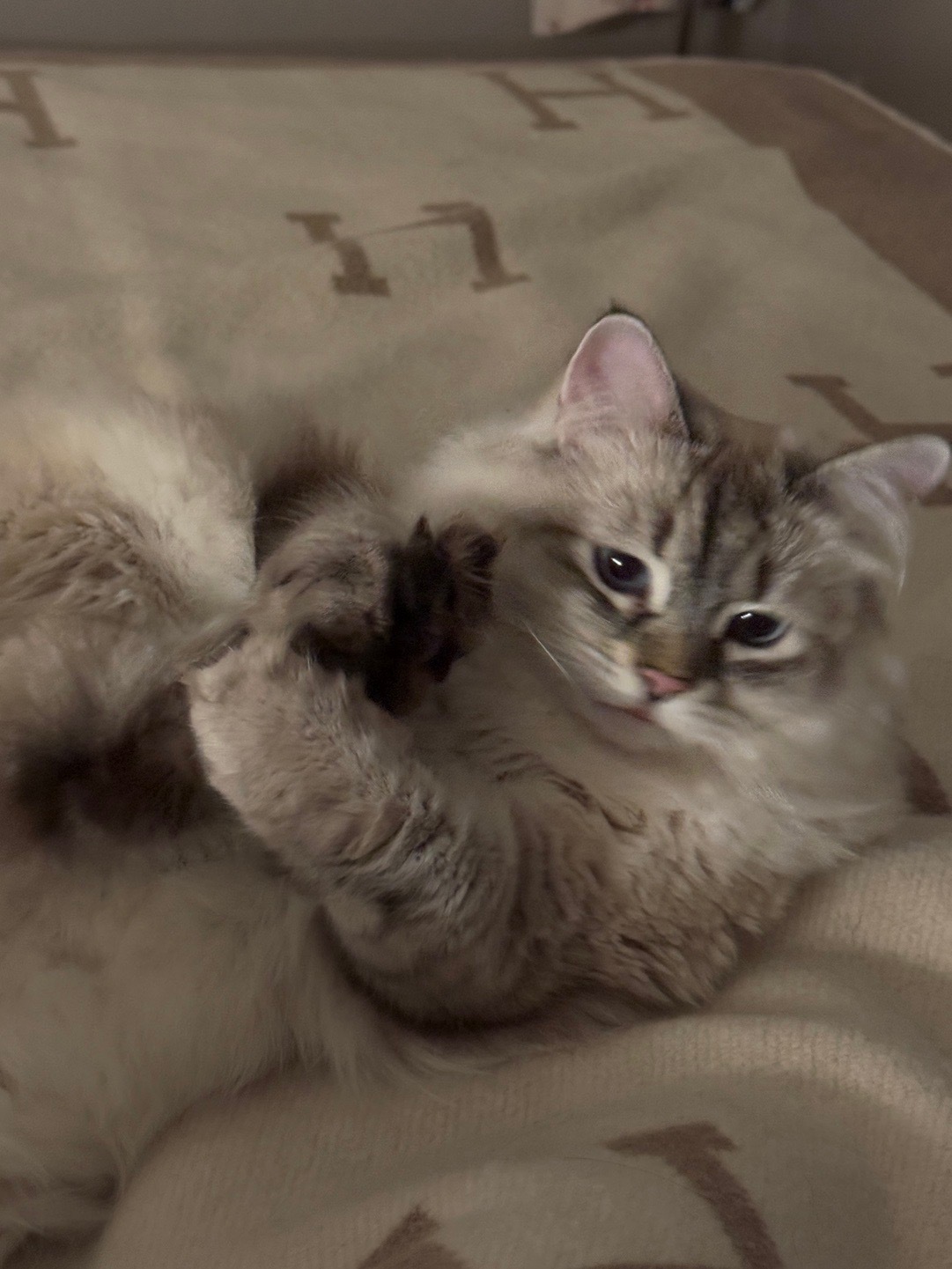 其实我是高需求宝宝 但是逐渐变成了低。无回应之地即是绝境我不知道，不知…编辑了一