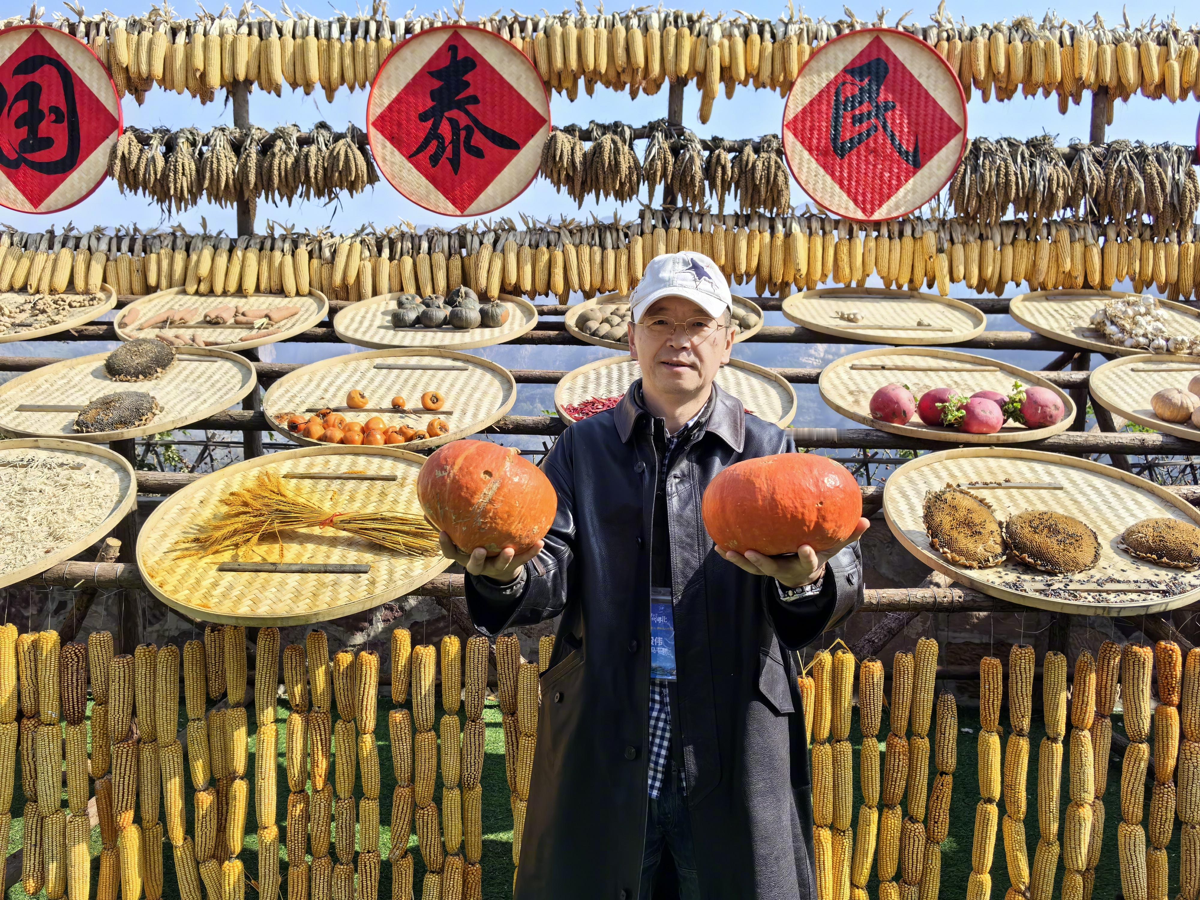 最美之冀 南瓜，在我的家乡北大荒也叫倭瓜，而且许多年来一直都被称为倭瓜，既有一个